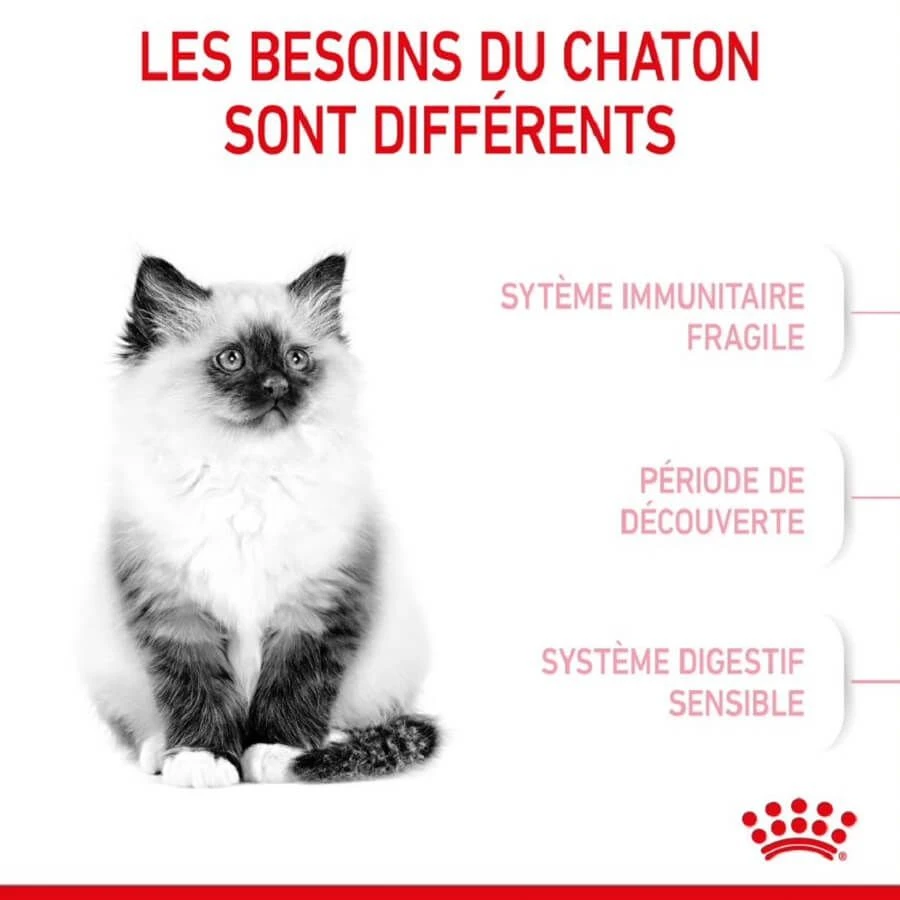 Royal Canin Féline Health Nutrition Kitten Second Age 2 kg Royal Canin Féline Health Nutrition Kitten Second Age 2 Kg -Animaux Fourniture Magasin royal canin f line health nutrition kitten second age 2 1