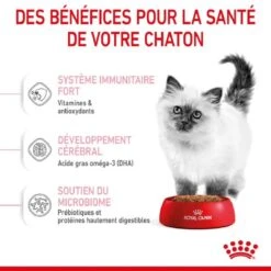 Royal Canin Féline Health Nutrition Kitten Second Age 2 Kg 3 Royal Canin Féline Health Nutrition Kitten Second Age 2 Kg -Animaux Fourniture Magasin royal canin f line health nutrition kitten second age 3 1