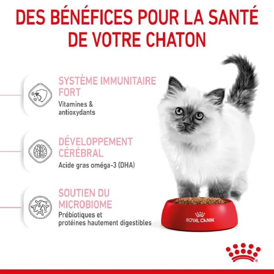 Royal Canin Féline Health Nutrition Kitten Second Age 2 kg Royal Canin Féline Health Nutrition Kitten Second Age 2 Kg -Animaux Fourniture Magasin royal canin f line health nutrition kitten second age 3 1