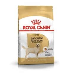 Royal Canin Labrador Adult 3 Kg