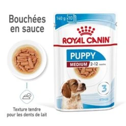 Royal Canin Vet Medium Puppy 10 X 140 G -Animaux Fourniture Magasin royal canin medium puppy 10 x 140 g3