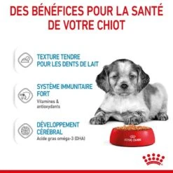 Royal Canin Vet Medium Puppy 10 X 140 G -Animaux Fourniture Magasin royal canin medium puppy 10 x 140 g5