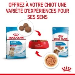 Royal Canin Vet Medium Puppy 10 X 140 G -Animaux Fourniture Magasin royal canin medium puppy 10 x 140 g8