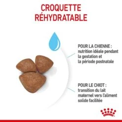 Royal Canin Vet Mini Starter Mother & Babydog 4 Kg 3 Royal Canin Vet Mini Starter Mother & Babydog 4 Kg -Animaux Fourniture Magasin royal canin mini starter mother babydog2