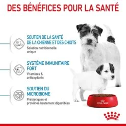 Royal Canin Vet Mini Starter Mother & Babydog 4 Kg 2 Royal Canin Vet Mini Starter Mother & Babydog 4 Kg -Animaux Fourniture Magasin royal canin mini starter mother babydog 1