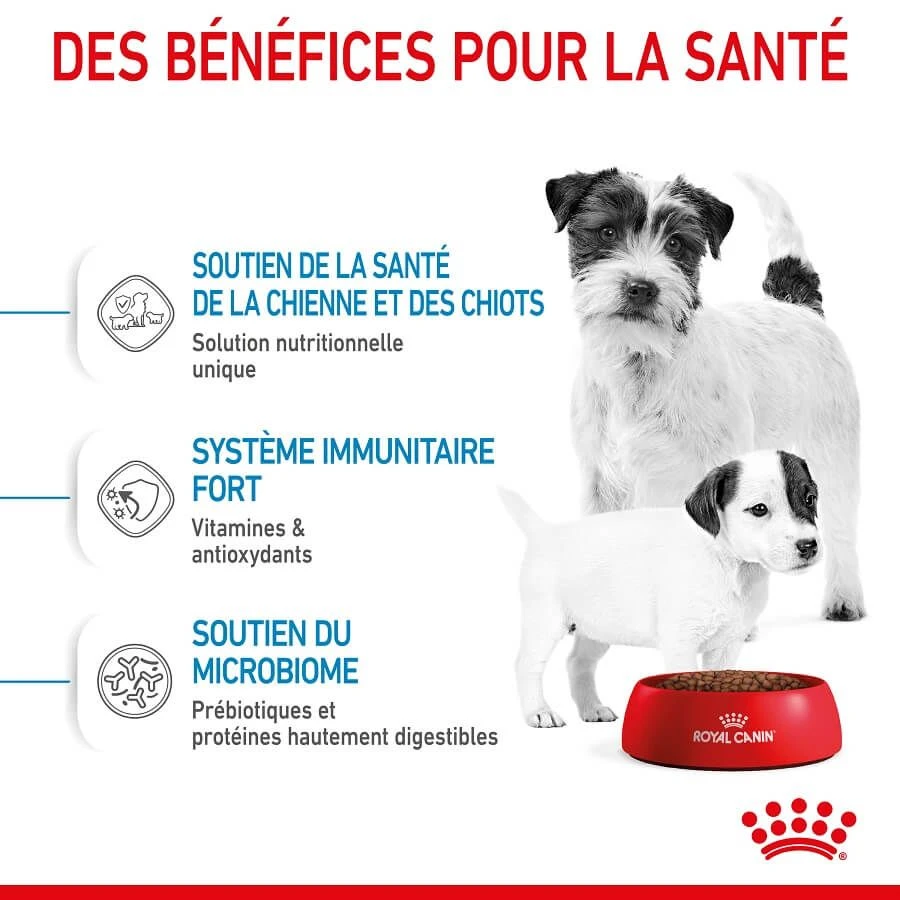 Royal Canin Vet Mini Starter Mother & Babydog 4 kg Royal Canin Vet Mini Starter Mother & Babydog 4 Kg -Animaux Fourniture Magasin royal canin mini starter mother babydog 1