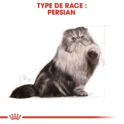 Royal Canin Persian Adult 10 Kg -Animaux Fourniture Magasin royal canin persian adult 4 2