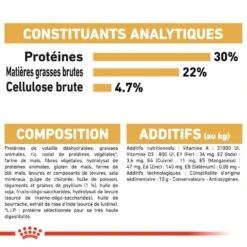 Royal Canin Persian Adult 10 Kg -Animaux Fourniture Magasin royal canin persian adult 6 2