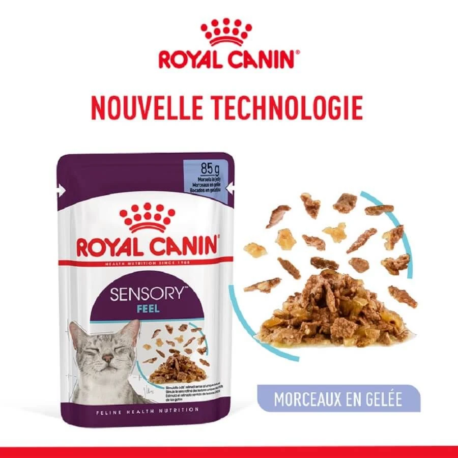 Royal Canin Sensory Feel En Gelée Pour Chat 12 X 85 G -Animaux Fourniture Magasin