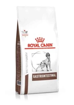 Royal Canin Vet Chien Gastrointestinal 15 Kg