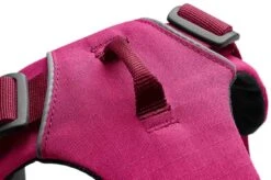 Ruffwear Harnais Front Range Rose Hibiscus S -Animaux Fourniture Magasin ruffwear harnais front range rose hibiscus xxs3 2