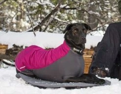 Veste Ruffwear Powder Hound Bleue XL 3 Veste Ruffwear Powder Hound Bleue XL -Animaux Fourniture Magasin ruffwear manteau hiver powder hound rose 1 1 1 1 1