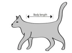 Buster Body Suit Chat XXS -Animaux Fourniture Magasin sche m 1