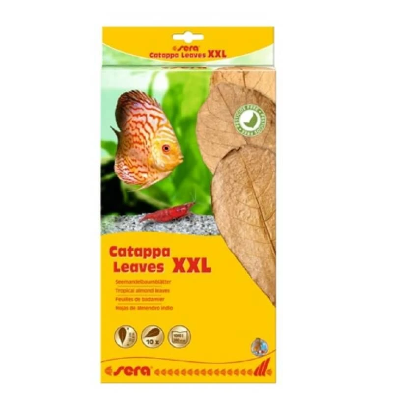 Sera Catappa Leaves Feuilles de badamier XXL Sera Catappa Leaves Feuilles De Badamier XXL -Animaux Fourniture Magasin