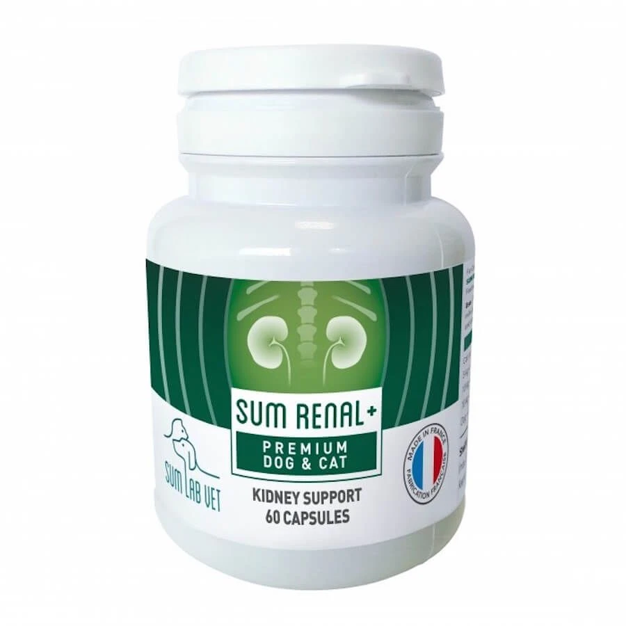 Sum Renal + chien et chat 60 gélules Sum Renal + Chien Et Chat 60 Gélules -Animaux Fourniture Magasin sum renal chien et chat 60 ge lules