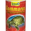 Tetra Grammarus 250 Ml - Destockage