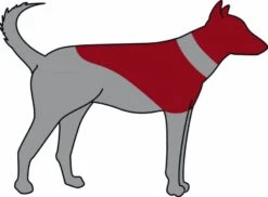 Trixie Carcan Gonflable Pour Chien XS -Animaux Fourniture Magasin trixie carcan gonflable pour chien xs3 1