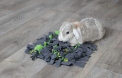 Trixie Tapis à Renifler Pour Lapin Et Cochon D'inde 27 × 20 Cm -Animaux Fourniture Magasin trixie tapis a renifler pour lapin et cochon d inde4