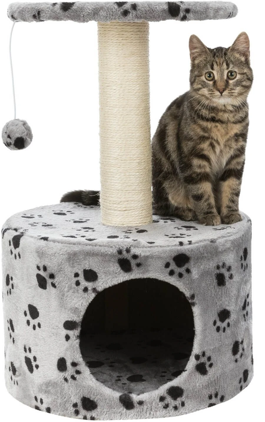 Trixie Arbre à Chat Toledo gris pour chaton 61 cm Trixie Arbre à Chat Toledo Gris Pour Chaton 61 Cm -Animaux Fourniture Magasin