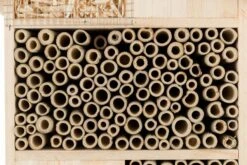 Trixie Hôtel Pour Insectes 29 × 49 × 16 Cm 2 Trixie Hôtel Pour Insectes 29 × 49 × 16 Cm -Animaux Fourniture Magasin trixie h tel pour insectes 29 49 16 cm3