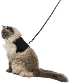 Trixie Harnais Soft Avec Laisse Noire Pour Chat XXL -Animaux Fourniture Magasin trixie harnais soft avec laisse noir chat xxl