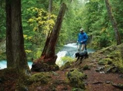 Veste De Pluie Ruffwear Sun Shower Grise XXS -Animaux Fourniture Magasin veste sun shower 3