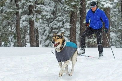 Veste Ruffwear Powder Hound Bleue XL Veste Ruffwear Powder Hound Bleue XL -Animaux Fourniture Magasin web ruffwear bleue neige 1 1 1 1 1