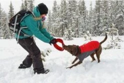 Veste Ruffwear Powder Hound Bleue XL 2 Veste Ruffwear Powder Hound Bleue XL -Animaux Fourniture Magasin webruffwear manteau powder hound rouge 1 1 1 1 1