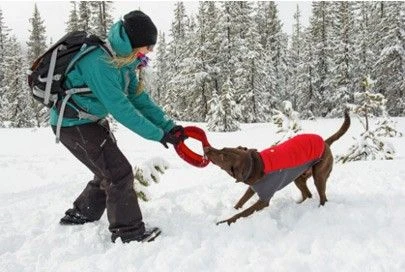 Veste Ruffwear Powder Hound Bleue XL Veste Ruffwear Powder Hound Bleue XL -Animaux Fourniture Magasin webruffwear manteau powder hound rouge 1 1 1 1 1